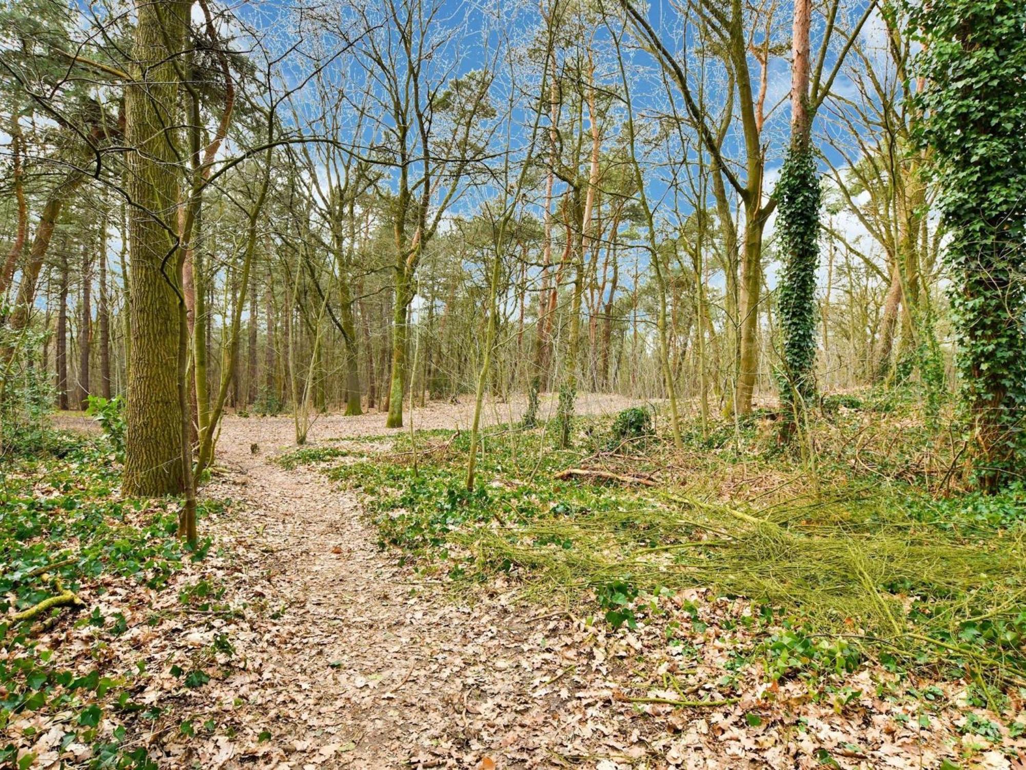 Stille Wille B13 Meijel Exterior photo